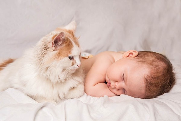 em bé và mèo ngủ cùng nhau