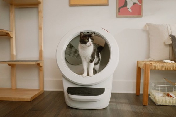 cat-in-the-litter-robot