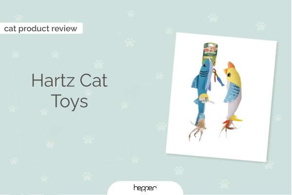 hartz-cat-đồ chơi