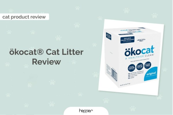 okocat- original-premium-clumping-wood-cat-litter-review-2023-our-chuyên gia-ý kiến-1