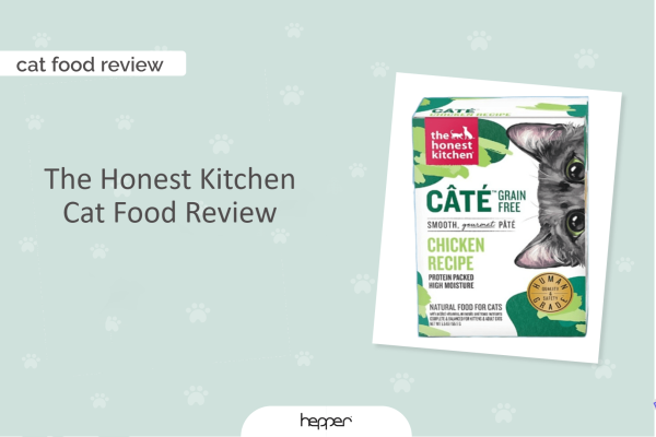 the-honest-bếp-thức-ăn-cho-mèo-đánh-giá-2023-chuyên-gia-của-chúng-tôi-1